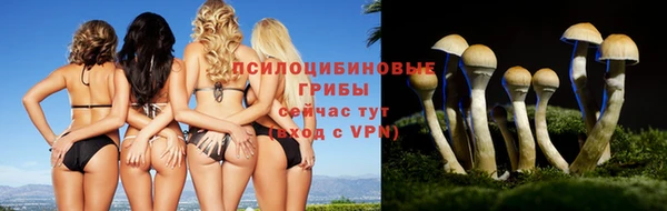 MESCALINE Аркадак