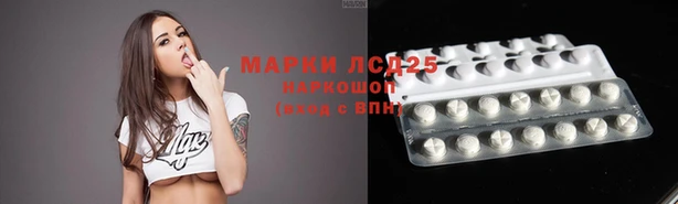 MESCALINE Аркадак