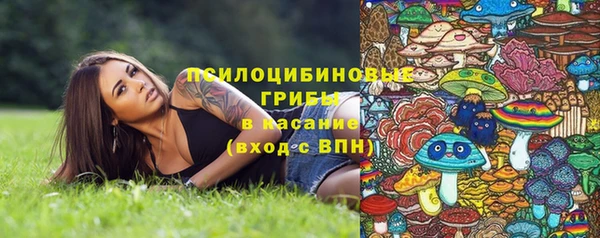 прущие крисы Алексин