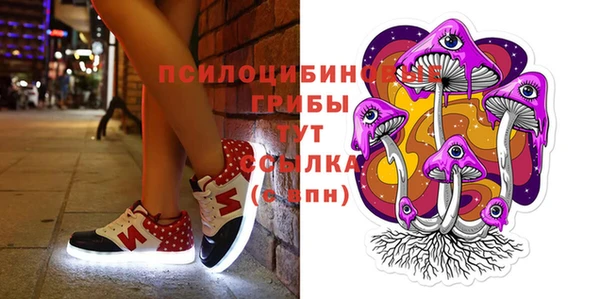 прущие крисы Алексин