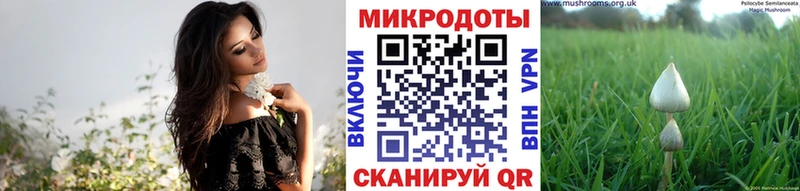 Галлюциногенные грибы прущие грибы  Кыштым 